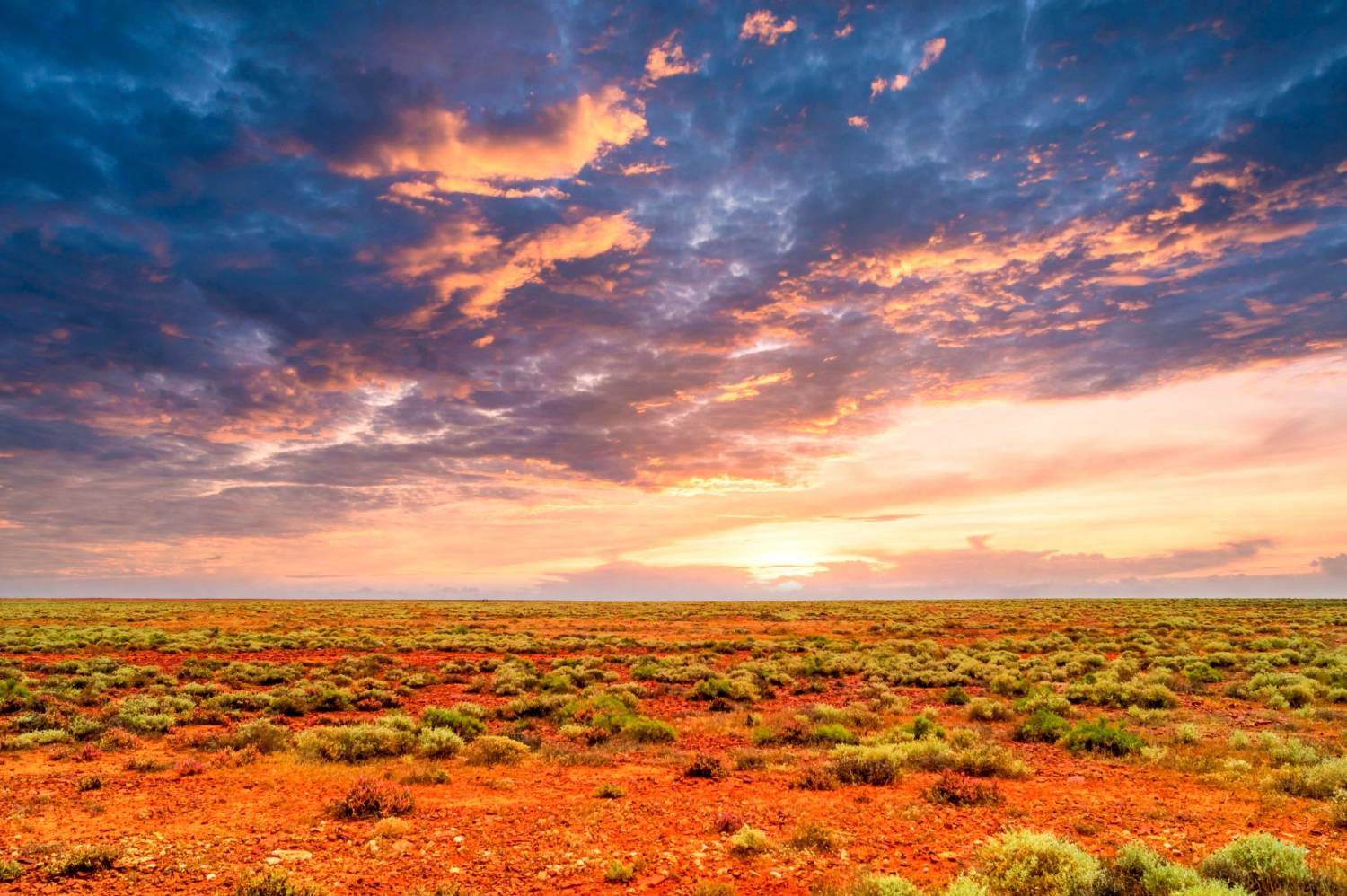 A fiery sunset over the red earth and low scrub of the Australian outback, under a vast open sky