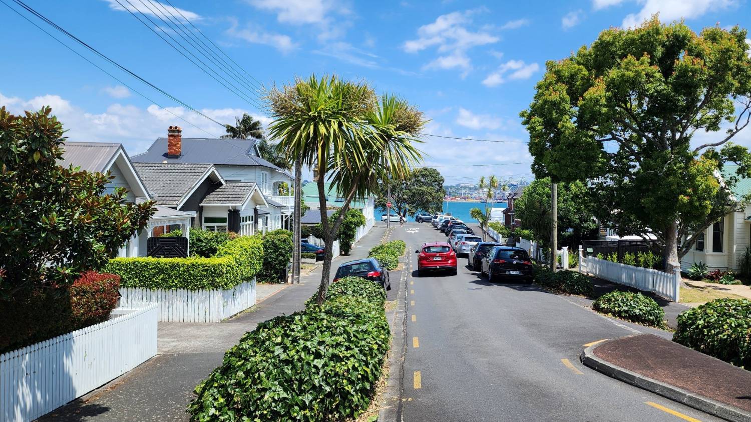 A Devonport street of white weatherboard villas behind picket fences, sloping down to the Waitematā Harbour