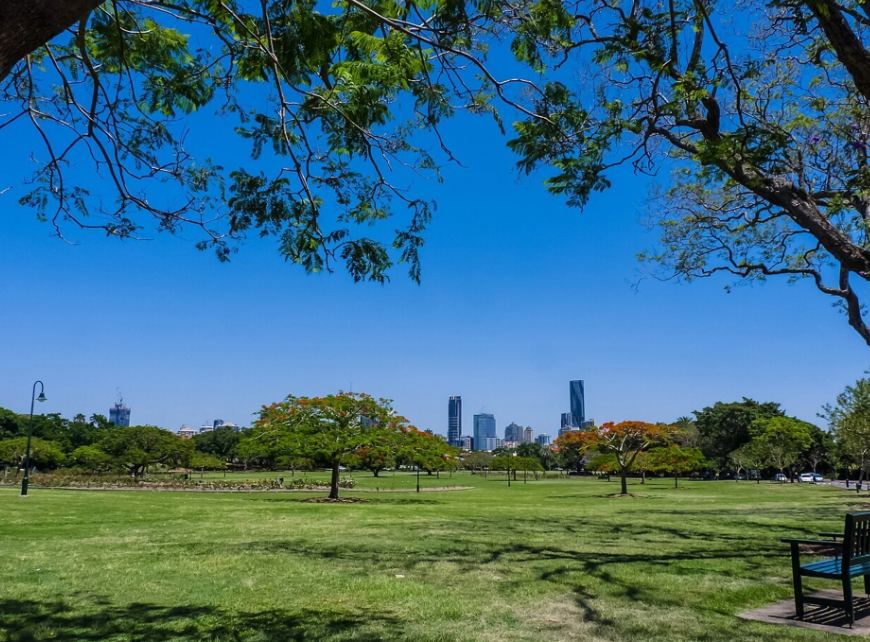 Open parkland with poinciana trees in flower and the Brisbane skyline beyond