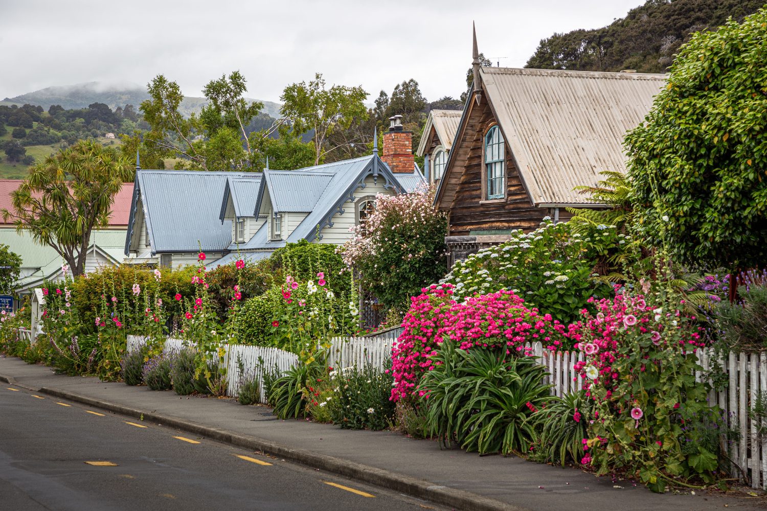 A quiet tree-lined residential street in suburban Christchurch
