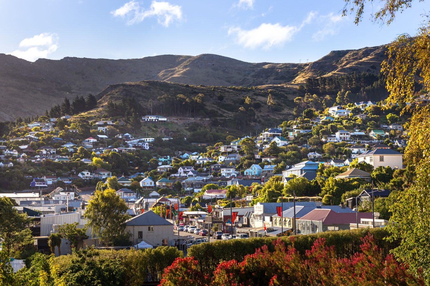 Houses stacked up the hillside above Lyttelton&rsquo;s port