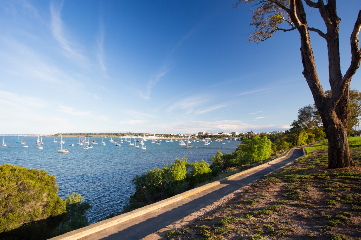 Yachts on Corio Bay with Geelong beyond, in evening light