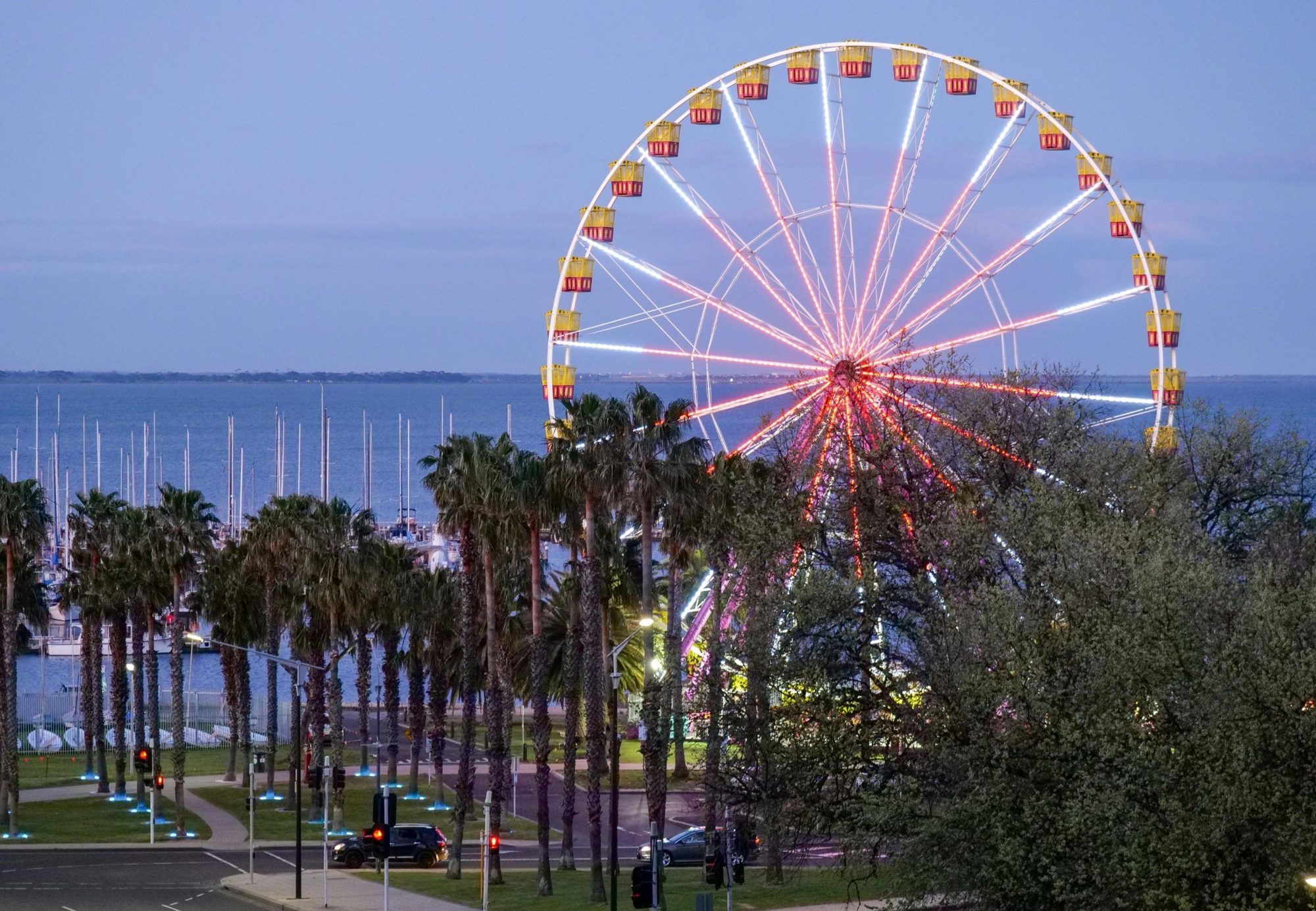 The lit Ferris wheel and palms on the Geelong waterfront at dusk