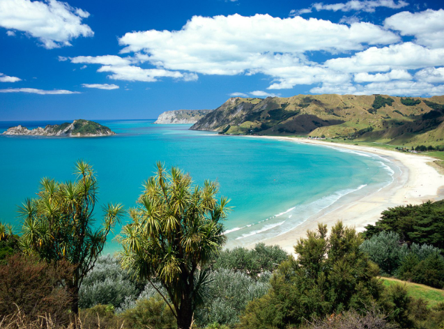 A turquoise bay on the East Coast north of Gisborne, cabbage trees in the foreground and dry hills running down to white sand