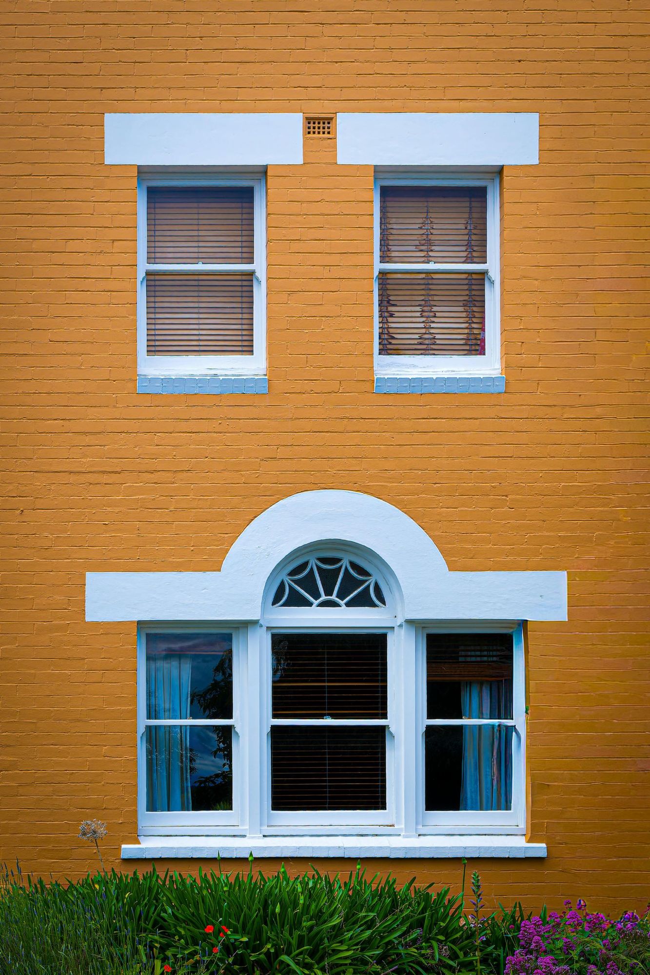A brightly painted terrace facade with white sash windows in inner Hobart