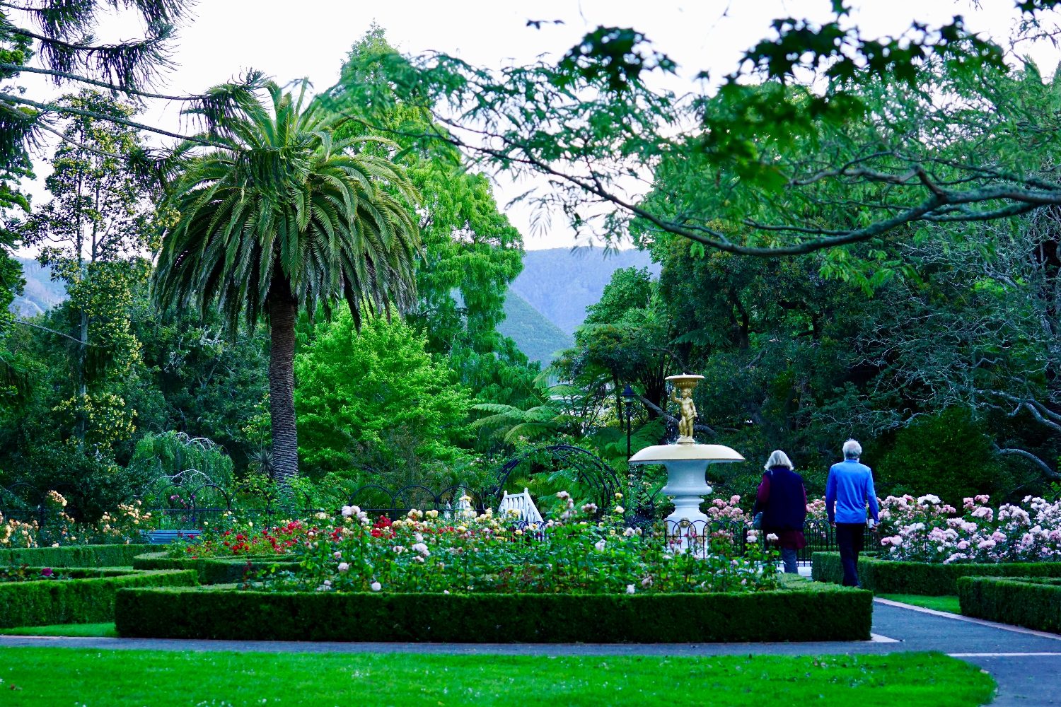 A tiered fountain among rose beds and clipped hedges in the Queens Gardens, Nelson, a tall palm behind