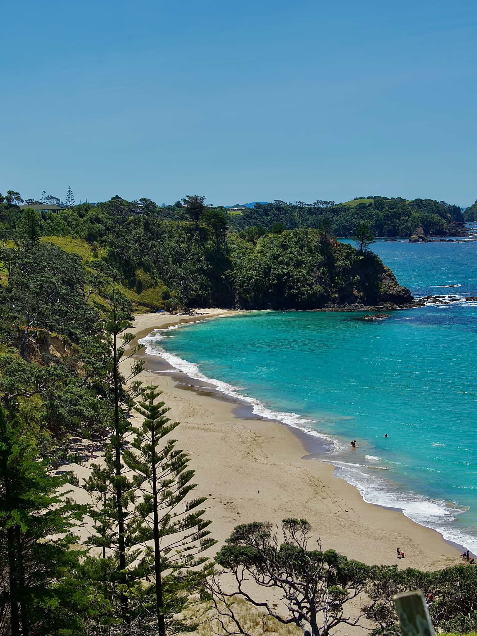 A sheltered Northland cove, pale sand curving between headlands of native bush