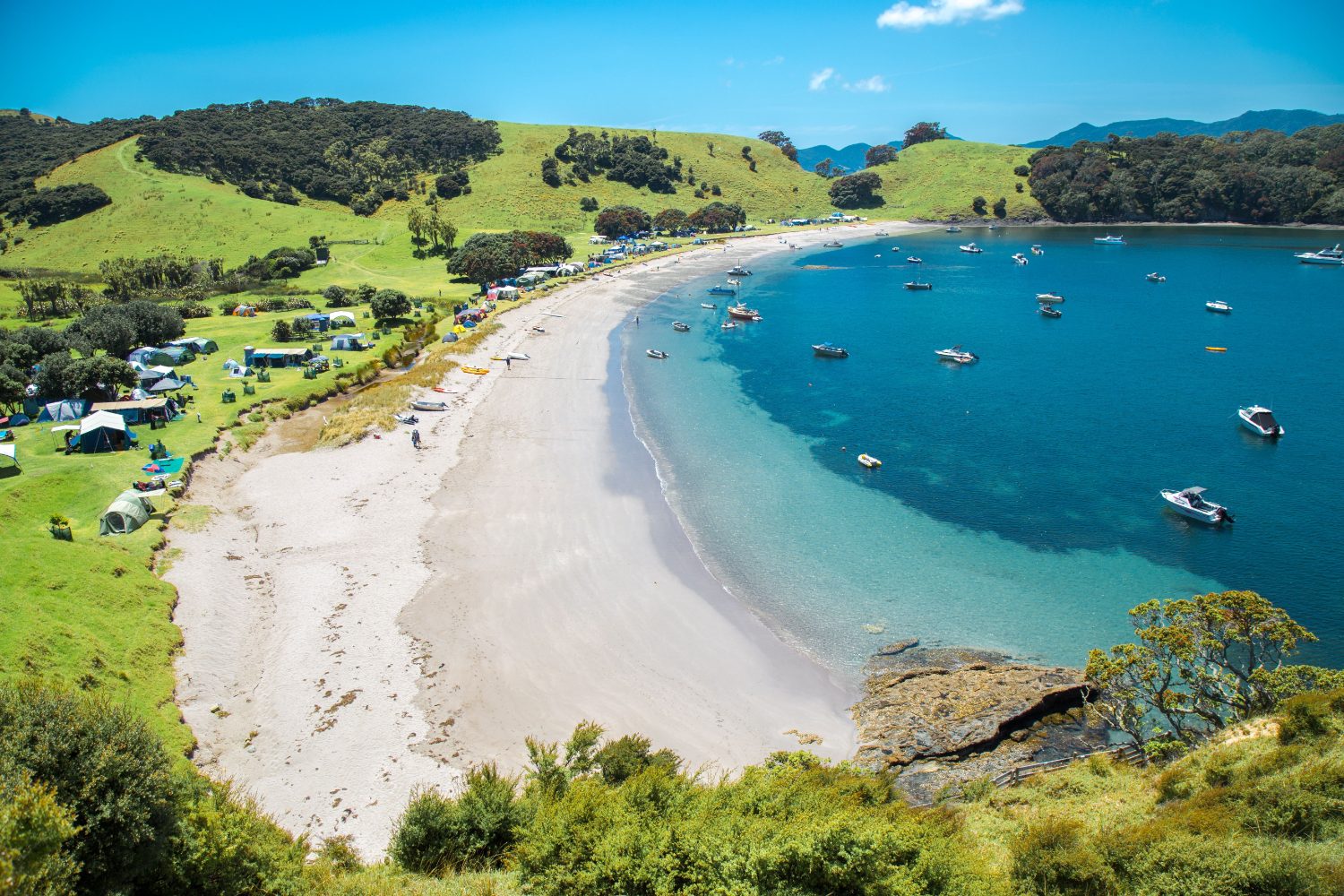 A winding coastal road above the sea in subtropical Northland