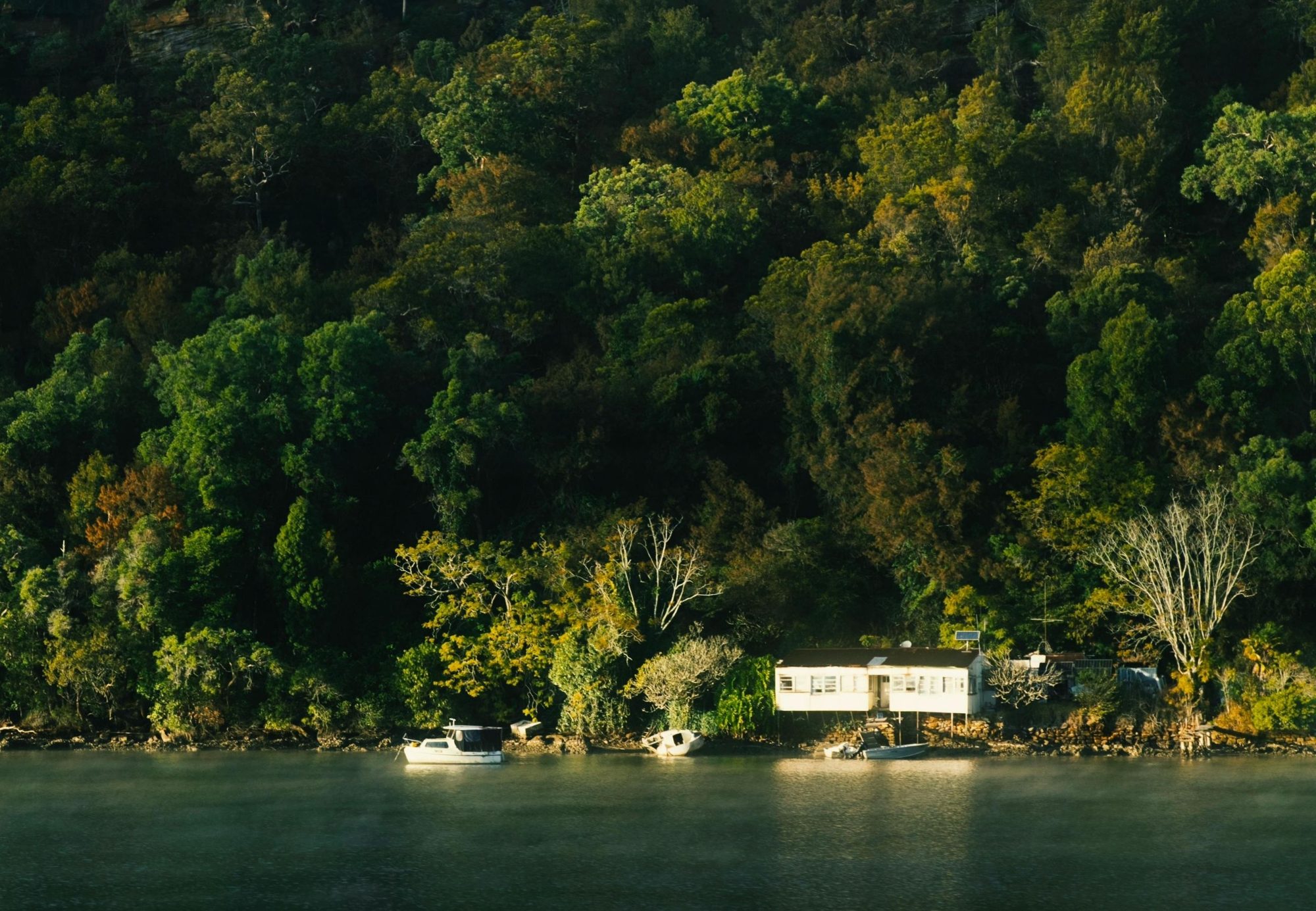 A timber cabin on the wooded river bank near Newcastle