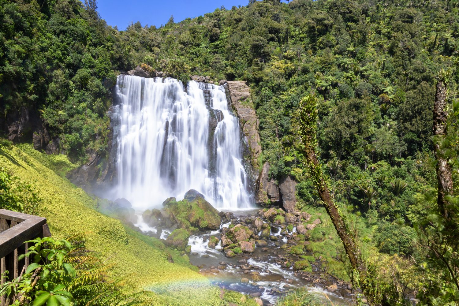 Marokopa Falls in the Waikato bush