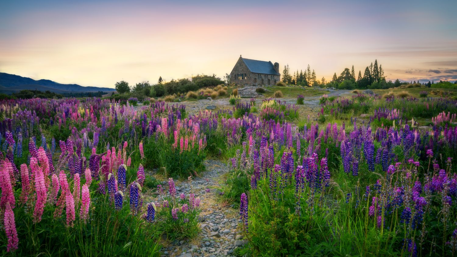 The stone church on the shore of Lake Tekapo