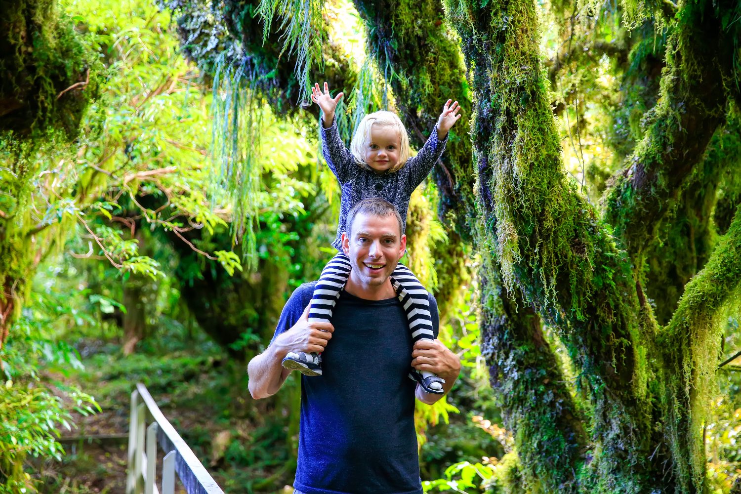An adult carrying a small child on their shoulders through lush native bush