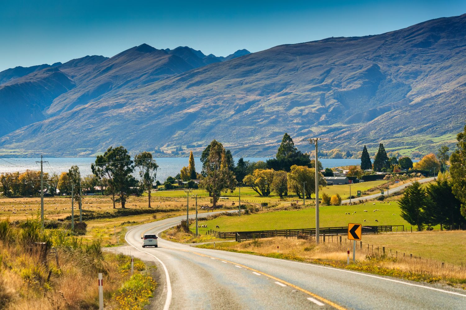 A single car on a two-lane rural highway in the South Island, sheep paddocks on either side and a small lakeside settlement across the water below a mountain range.