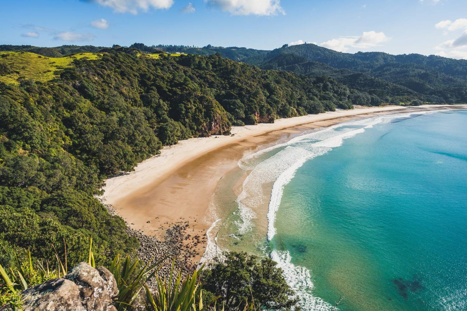 A golden crescent beach backed by native bush on the New Zealand coast