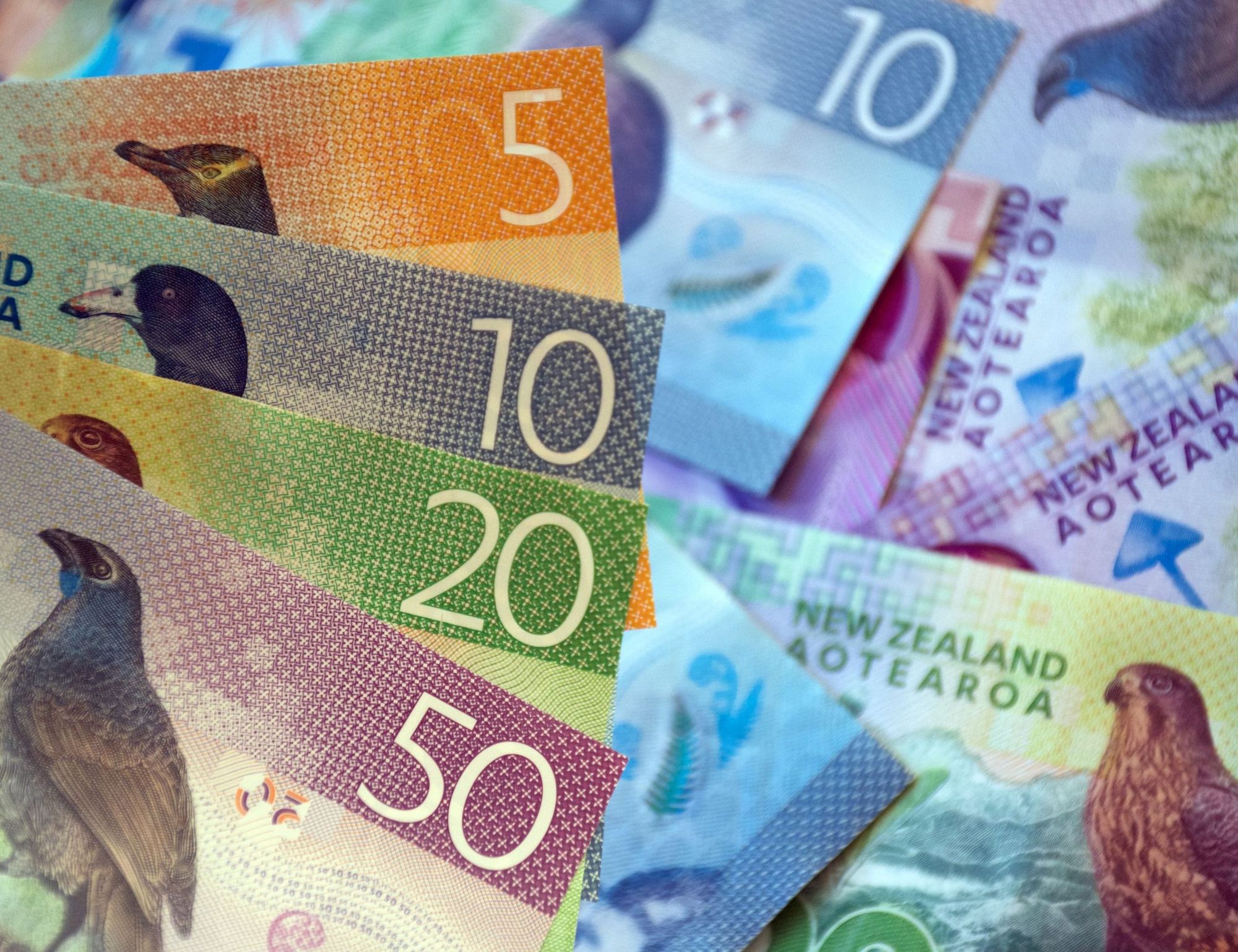 New Zealand banknotes fanned out, showing native birds