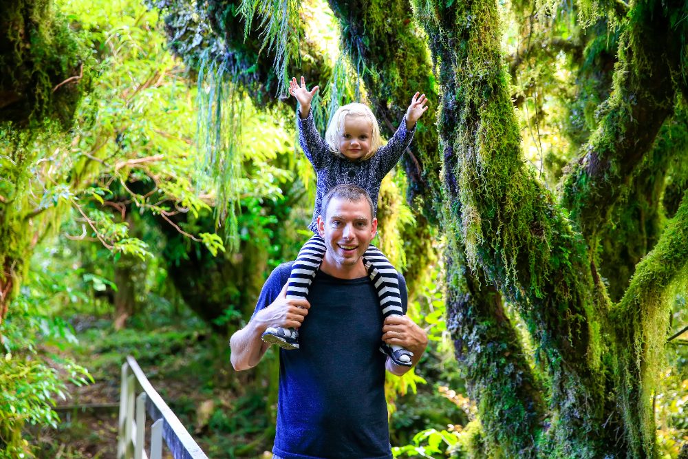 A father carrying his young daughter on his shoulders along a mossy New Zealand bush track