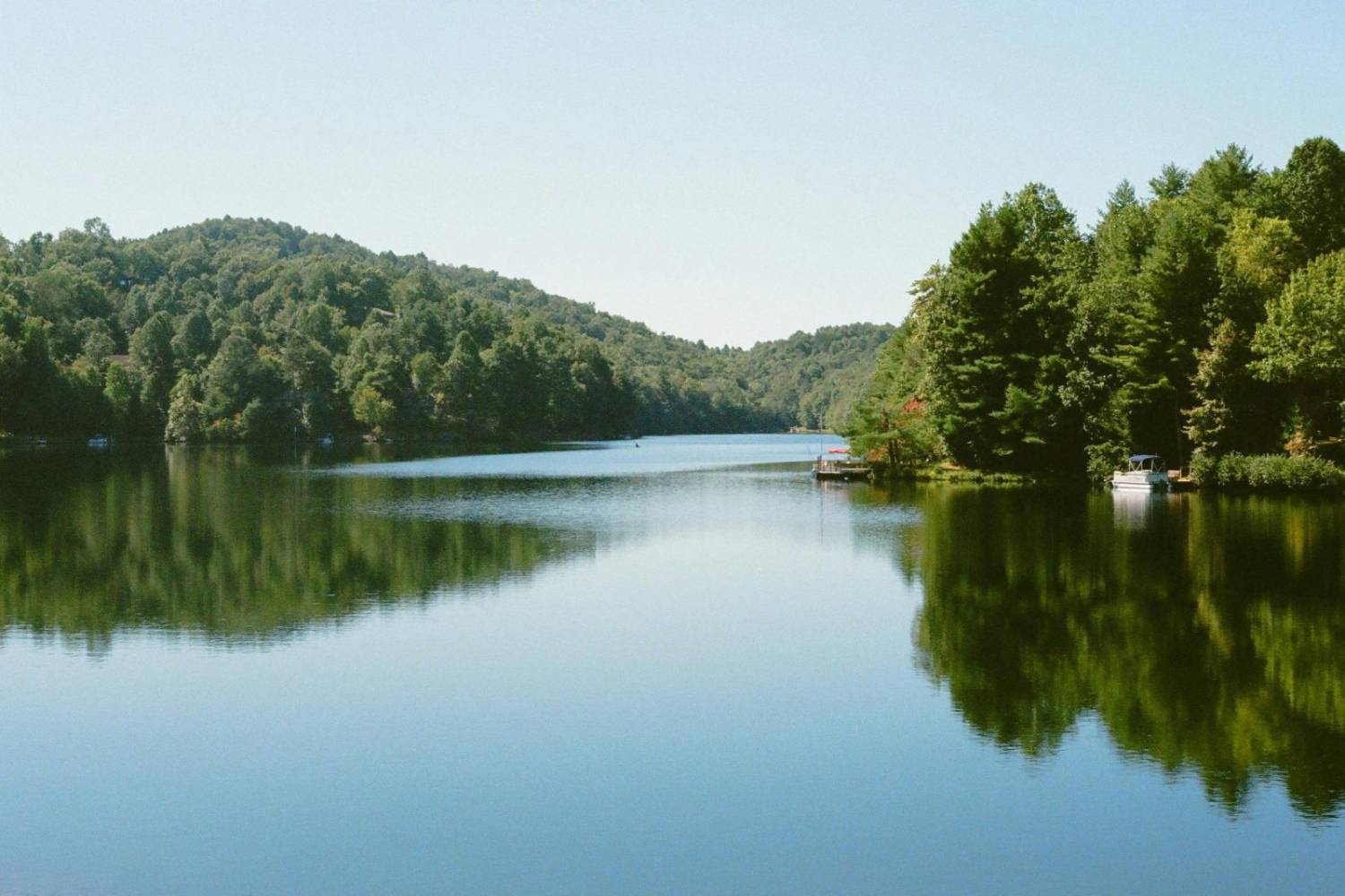 Still water fringed by dense native bush
