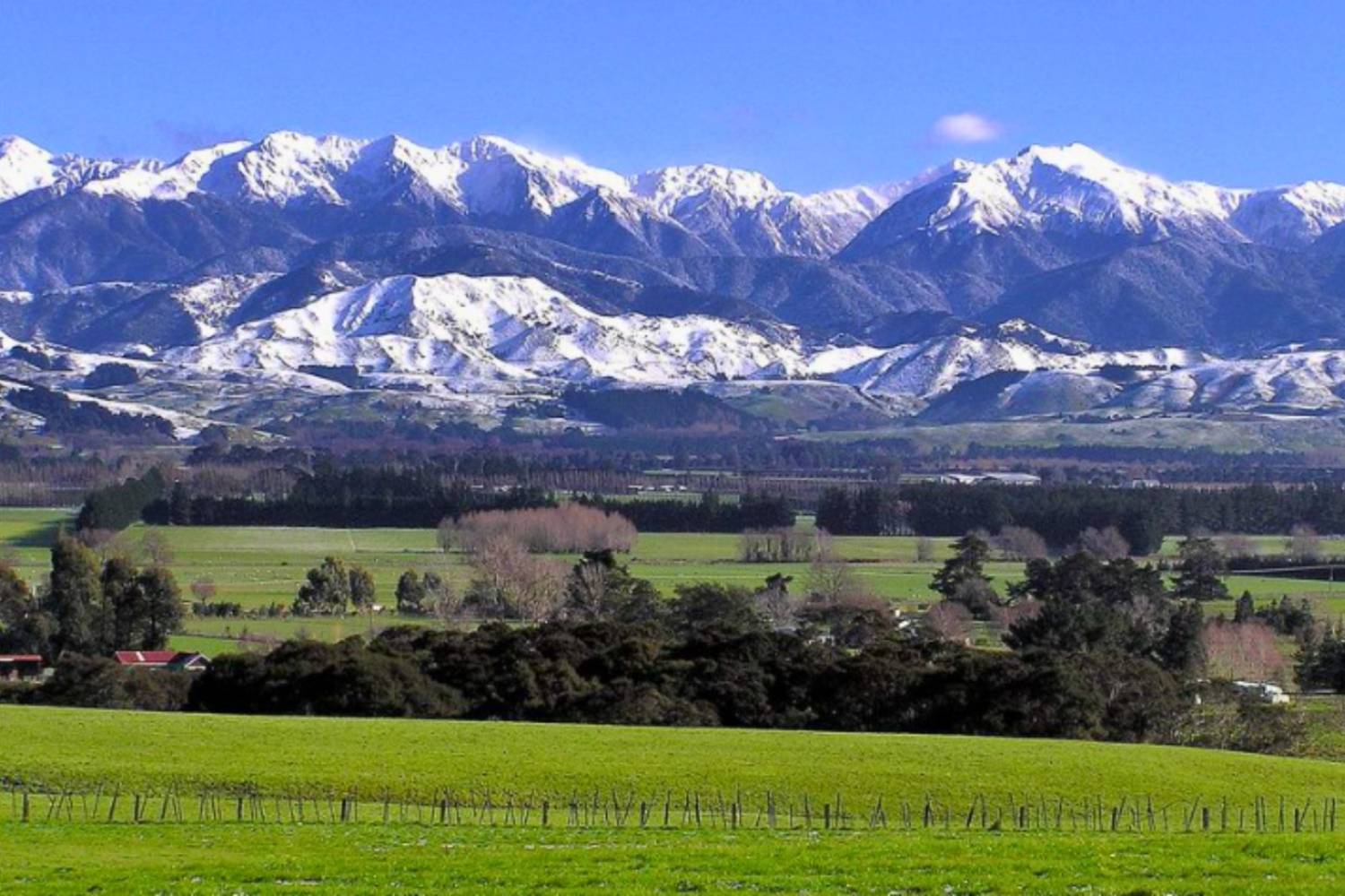 Snow on the Tararua Range seen across the Manawatū plain
