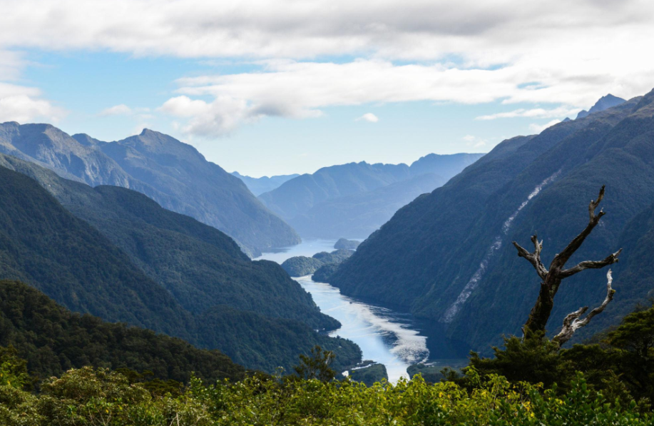 Doubtful Sound in Fiordland, ranges dropping into a still fiord