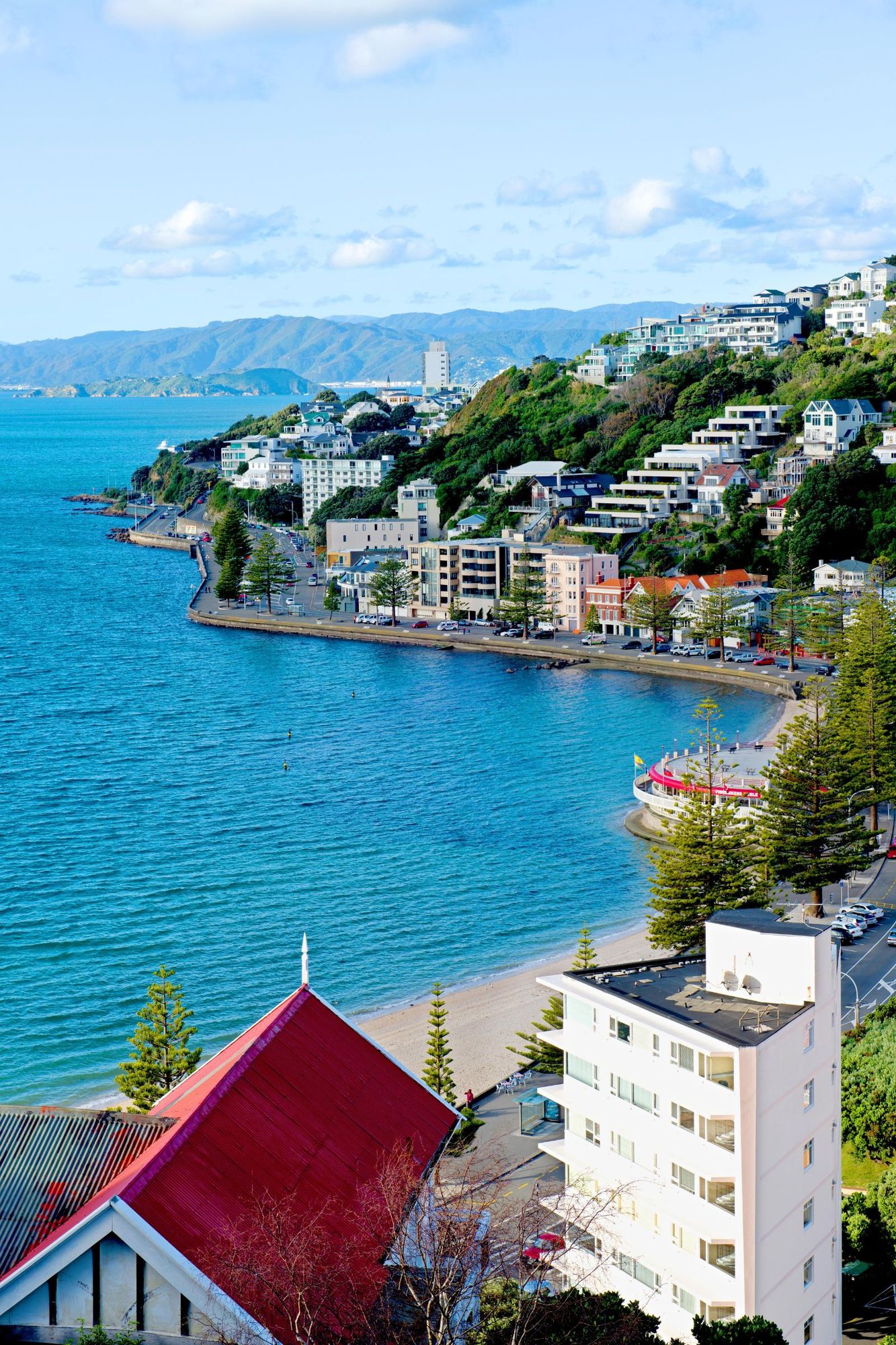 Houses stepping up the hillside above Oriental Bay, Wellington, with the harbour below
