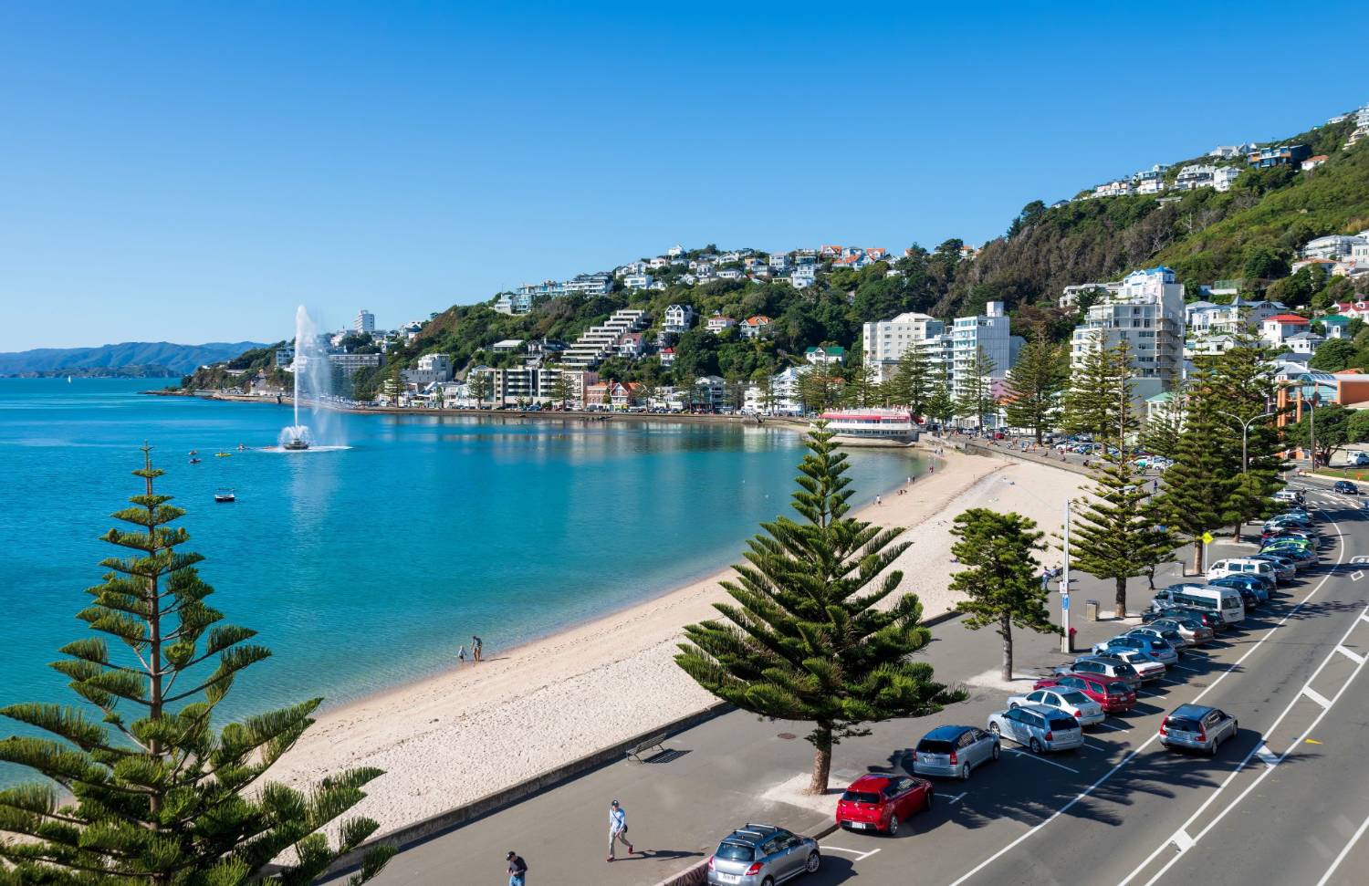 Swimmers and walkers at Oriental Bay with the city behind